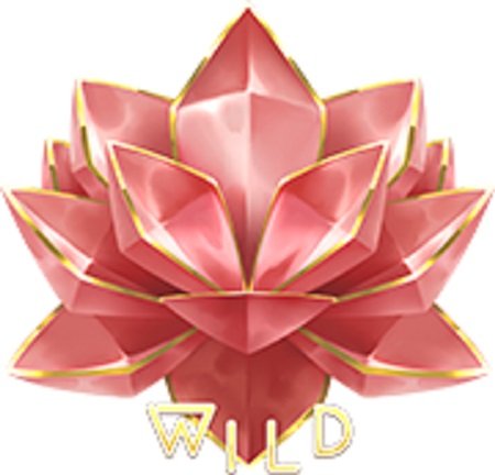 Wild symbol Divine Dreams
